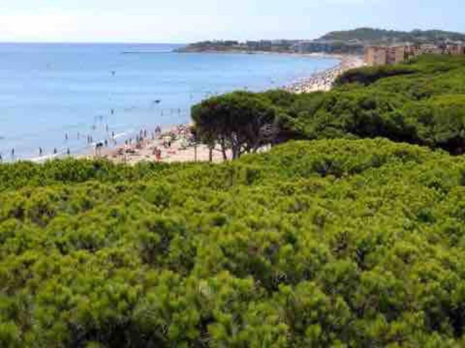 Estudio Coral Apartment La Pineda